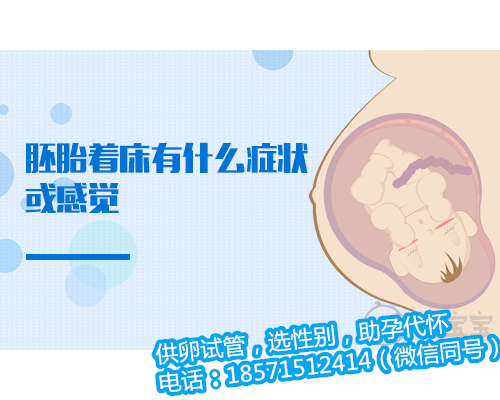 深圳助孕医院有几家,卵巢早衰怎么检查出来的