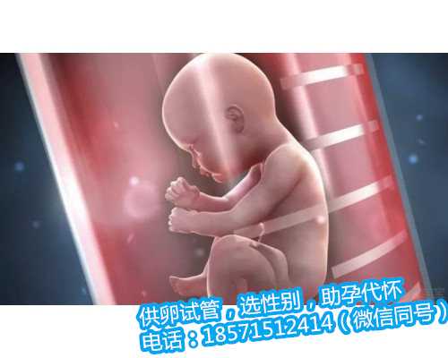 深圳助孕哪家医院专业,北京做试管大概费用多少钱